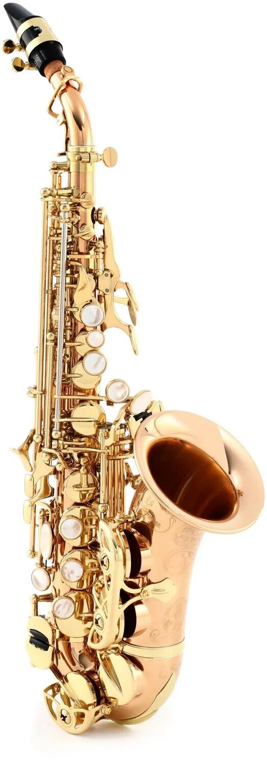 

Yanagisawa SCWO20 Elite Professional изогнутый саксофон-сопрано - бронза