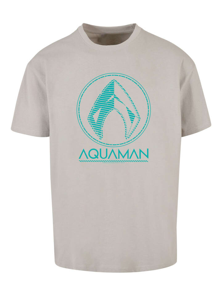 

Футболка F4NT4STIC DC Comics Aquaman Aqua Logo, цвет lightasphalt