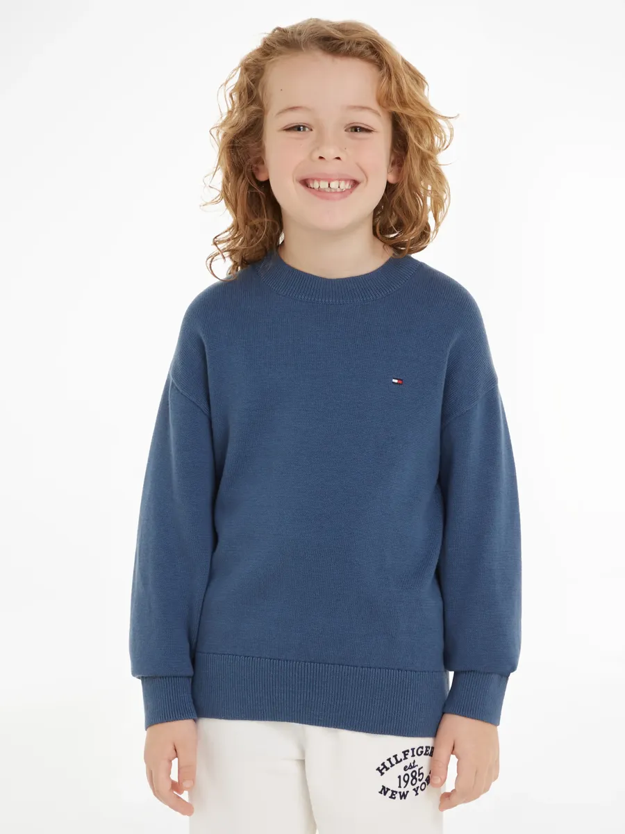 Tommy hilfiger essential sweater sale