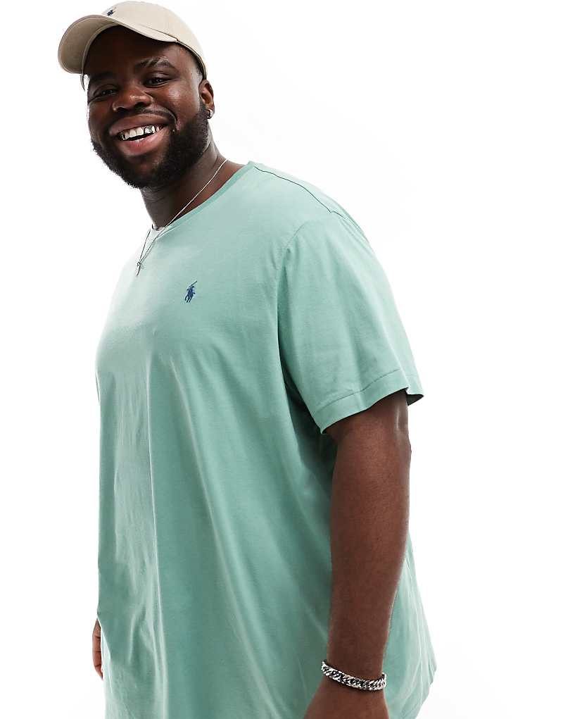 

Polo Ralph Lauren Big & Tall – Светло-зеленая футболка с логотипом