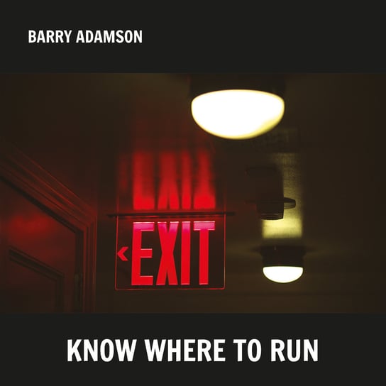 Виниловая пластинка Adamson Barry - Know Where To Run adamson e five strangers