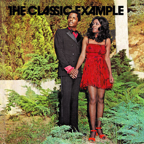 

Виниловая пластинка Classic Example: The Classic Example