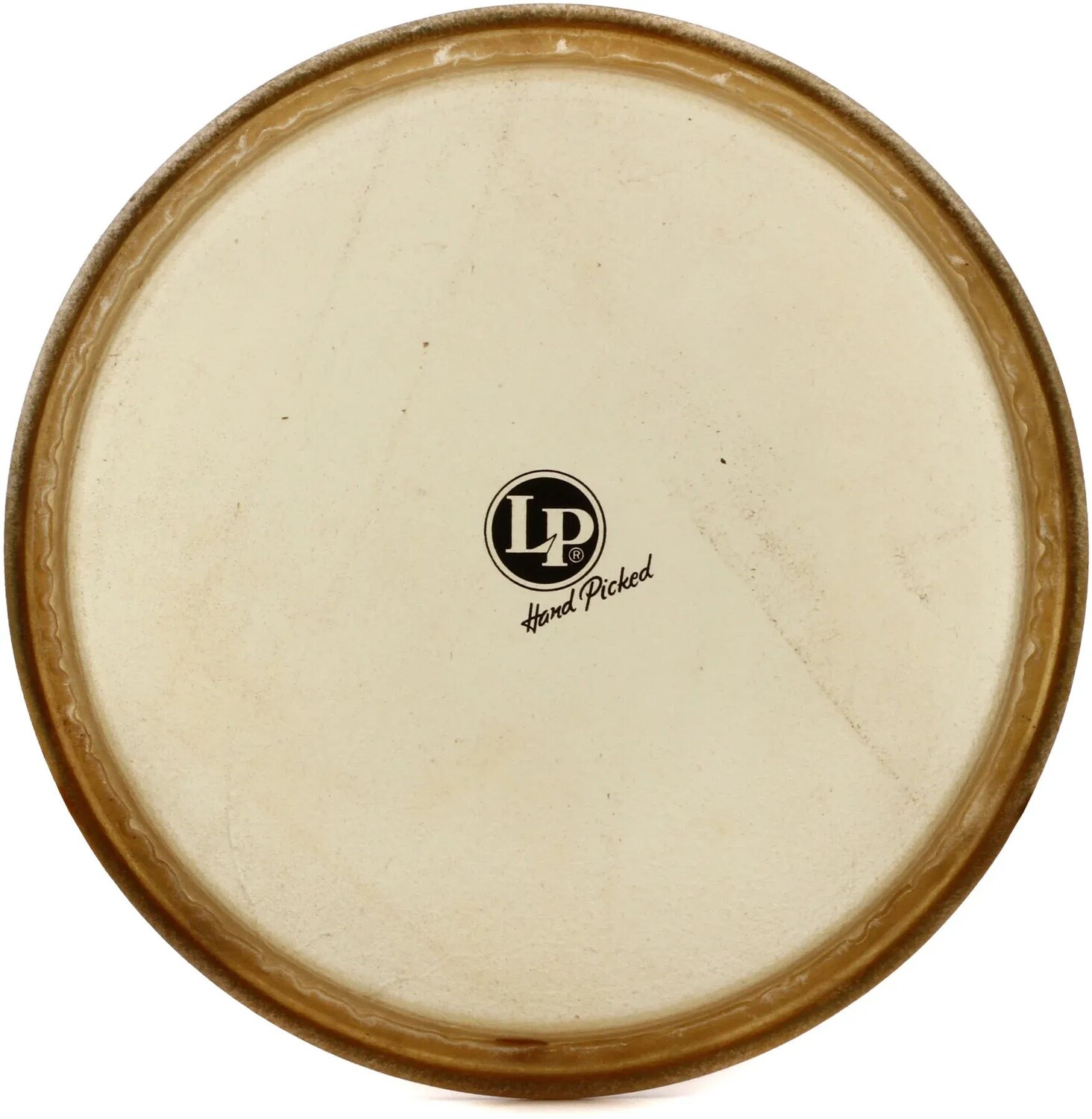 

Головка Latin Percussion Conga из сыромятной кожи — 11-3/4 дюйма — Conga