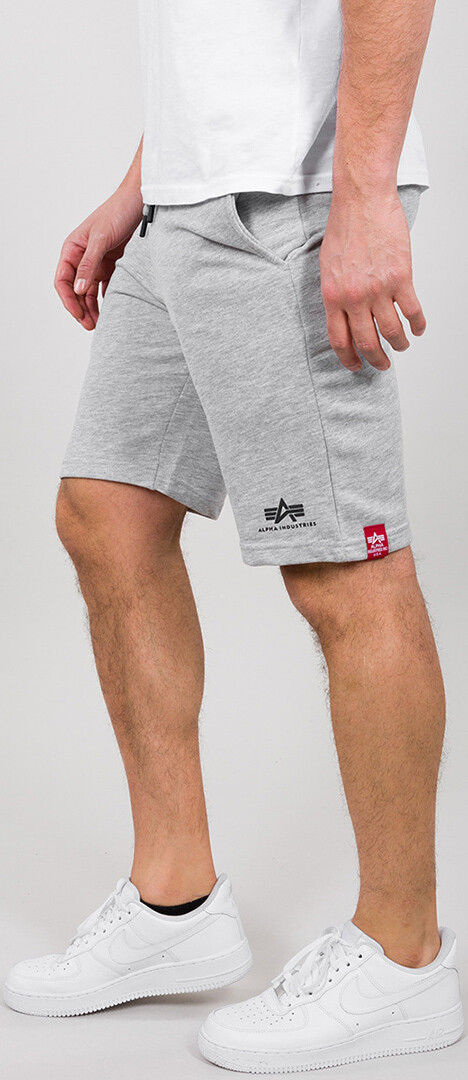 

Шорты Alpha Industries Big Letters, серые