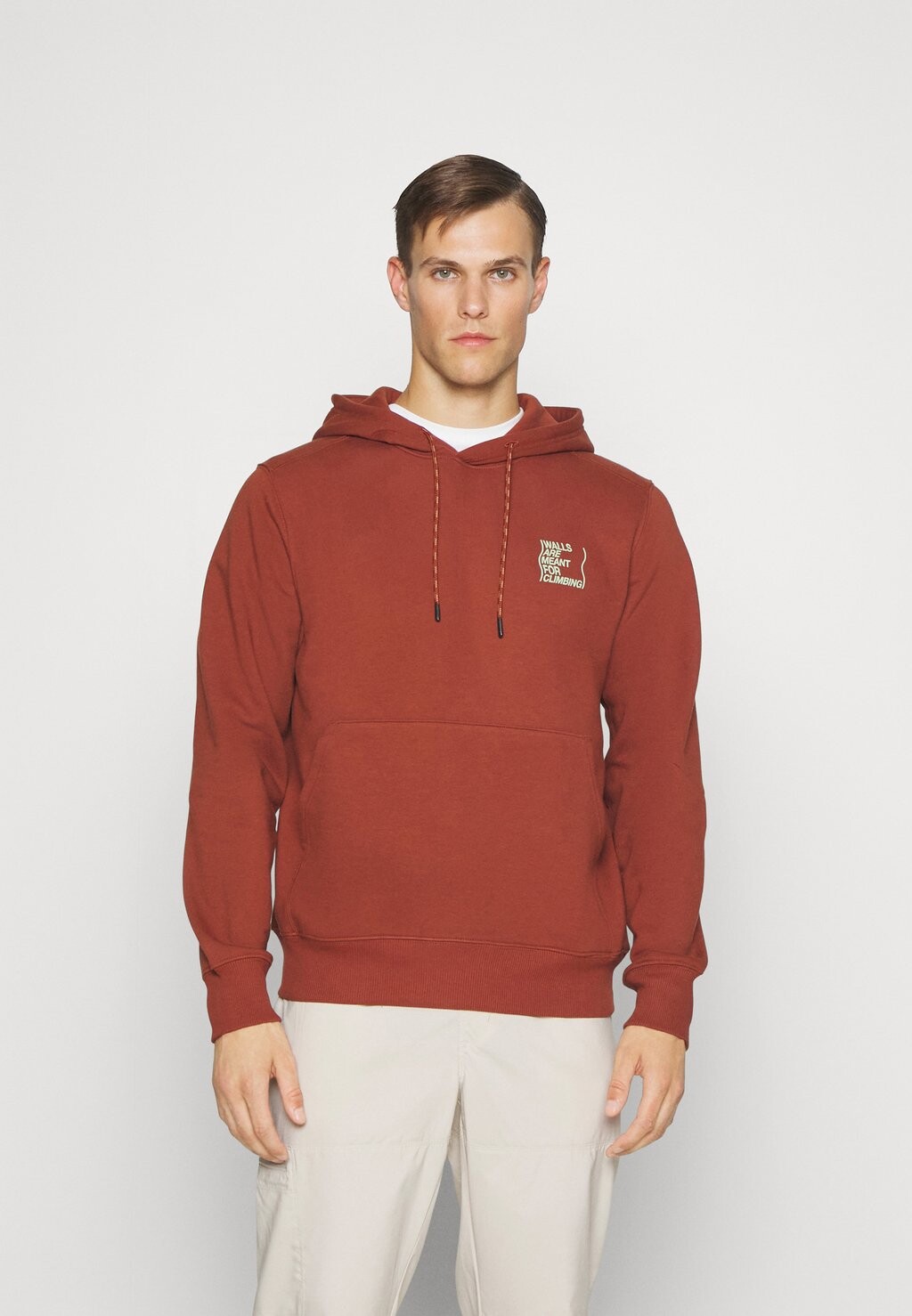 

Толстовка с капюшоном OUTDOOR GRAPHIC HOODIE The North Face, коричневый