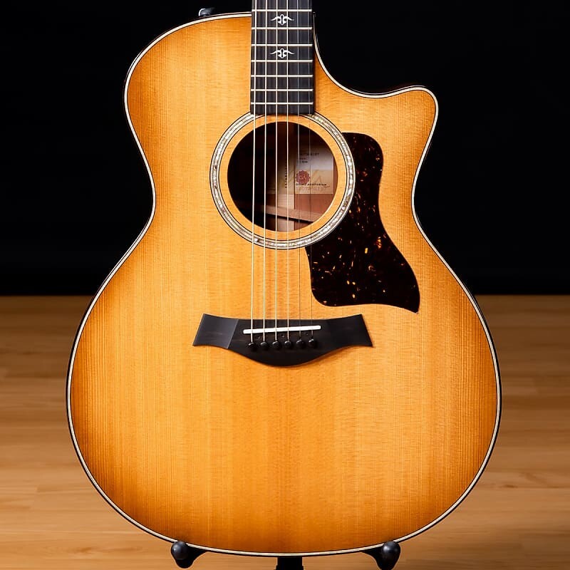 

Электроакустическая гитара Taylor 514ce - Urban Ironbark SN 1207252157