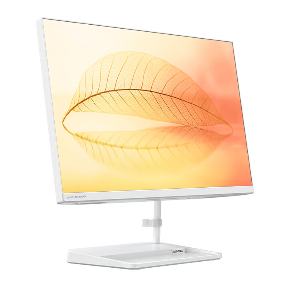 

Моноблок Lenovo 520-24 Enterprise Procurement 24,5" AMD R5-5500U
