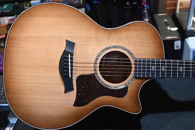 

Taylor 514ce Torrefied Spruce/Urban Ironbark Задняя и боковые части #2143