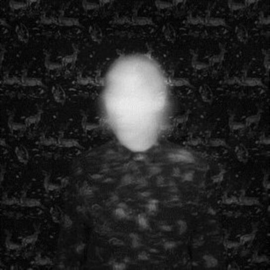 

Виниловая пластинка Swimmers Mezzanine - Black Cat in Heat