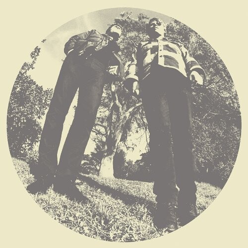 

Виниловая пластинка Segall Ty - Hair