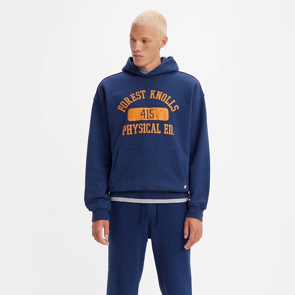 

Худи мужская Levi's GOLD TAB, синий