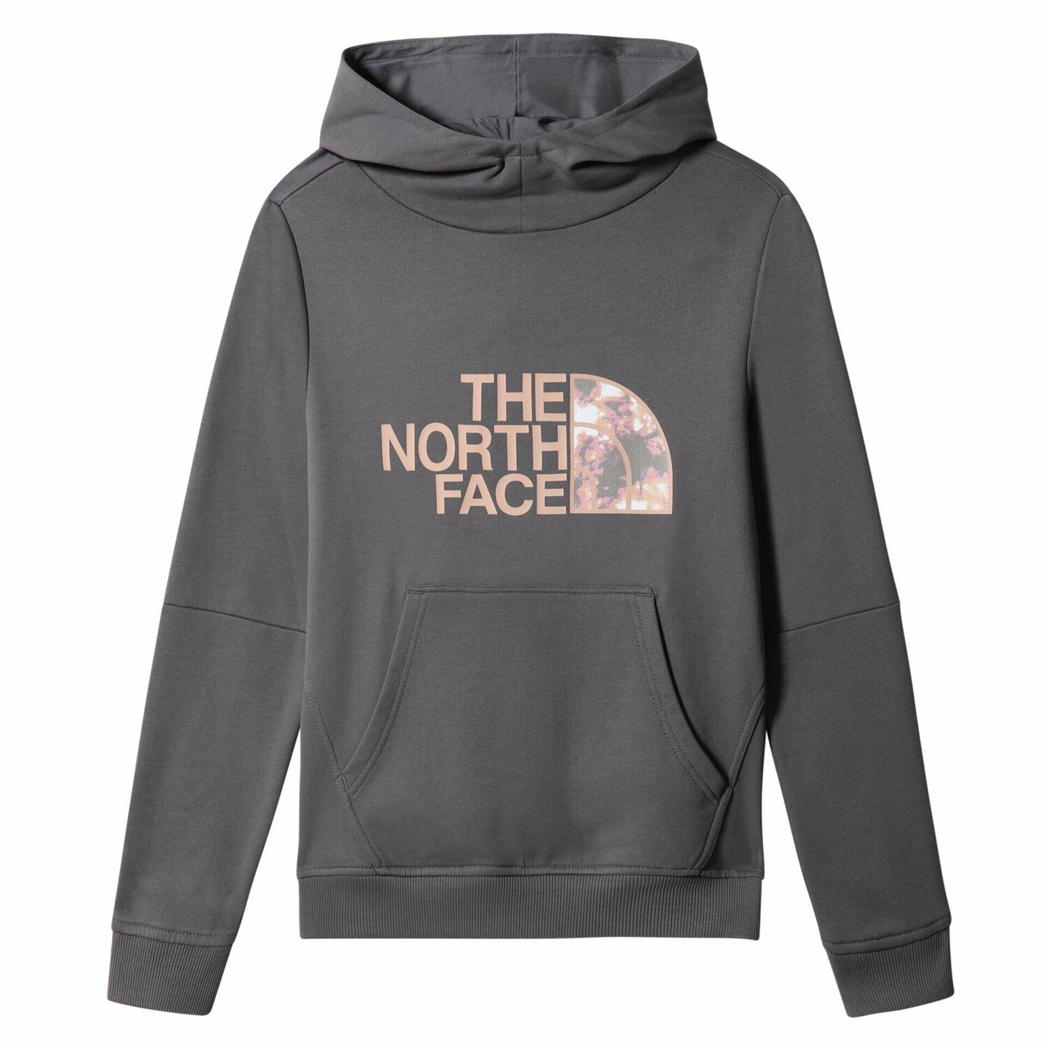

Толстовка The North Face Drew Peak P / o 2.0 для девочек, синий / красочный