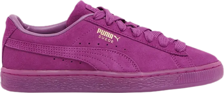 Purple and gold store pumas