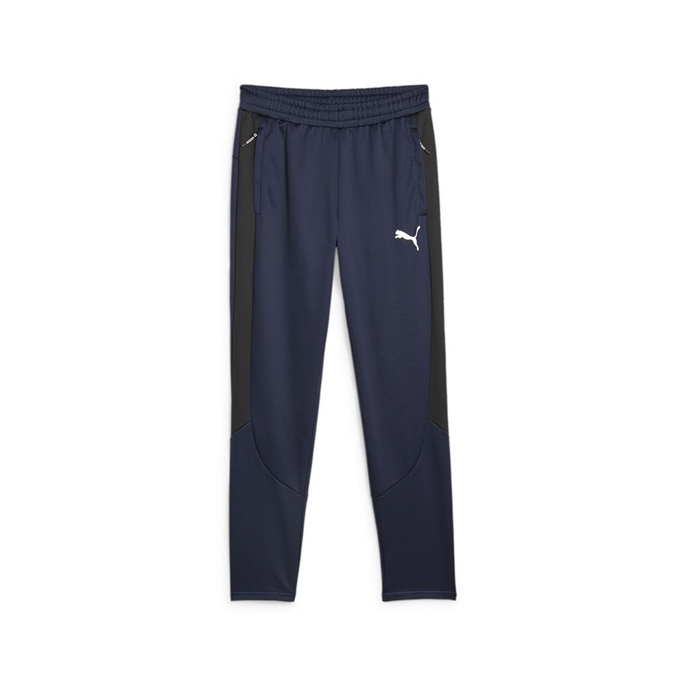Спортивные брюки Puma Evostripe Warm, синий