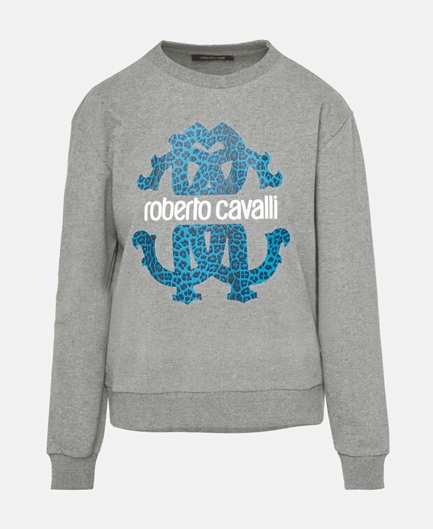

Толстовка Roberto Cavalli, серый