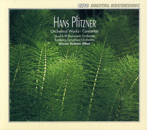 

CD диск Pfitzner / Albert / Bamberg Symphony Orchestra: Complete Orchestral Works