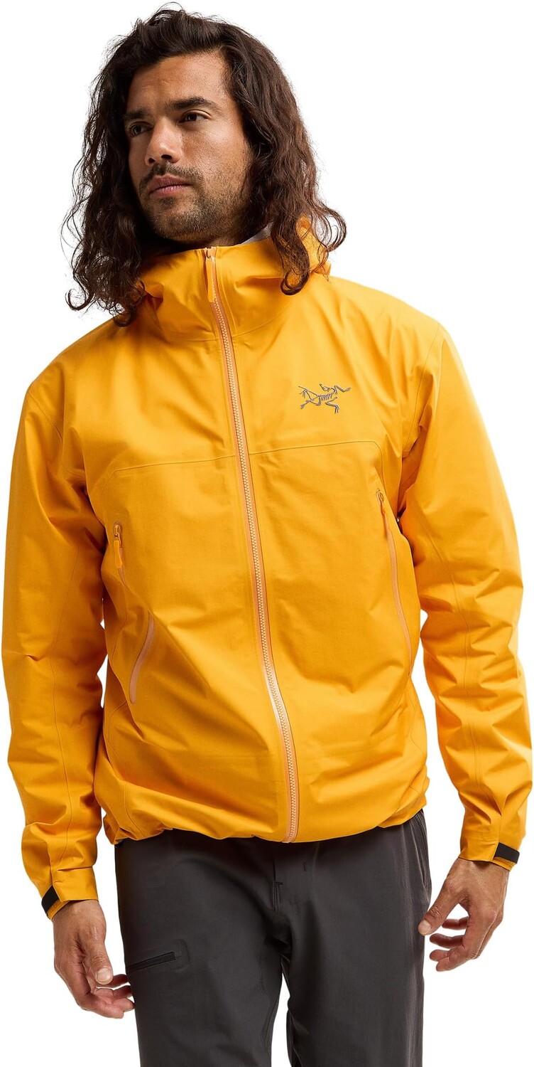 

Бета-куртка Arc'teryx, цвет Edziza