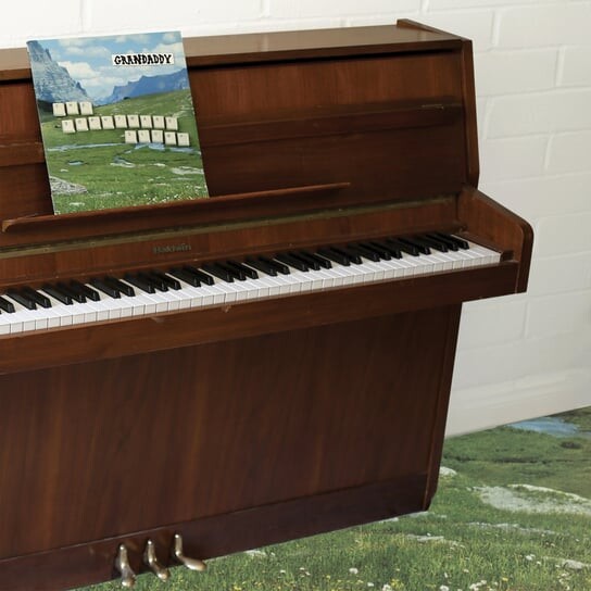 

Виниловая пластинка Grandaddy - The Sophtware Slump On A Wooden Piano