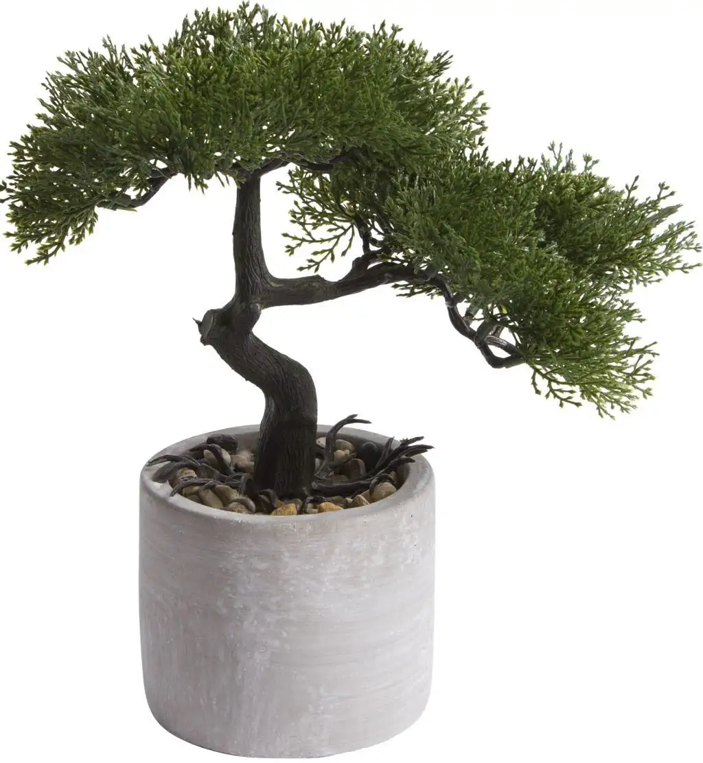 

Искусственный бонсай Botanic-Haus "Ceder Bonsai" Ø/25х25 см, зеленый