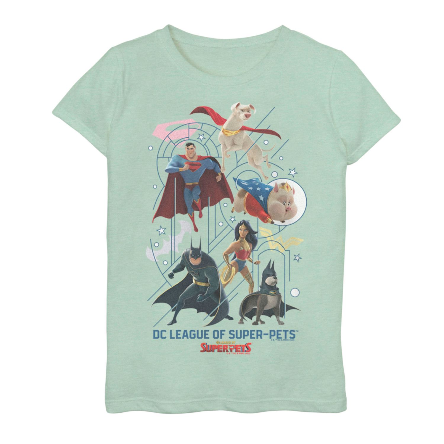 Футболка DC Super Pets Super Team для девочек 7–16 лет DC Comics