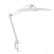 

Лампа для мастерской BSL-01 LED 24Вт, 1 шт. Beauty System, Sonobella, BeautySystem