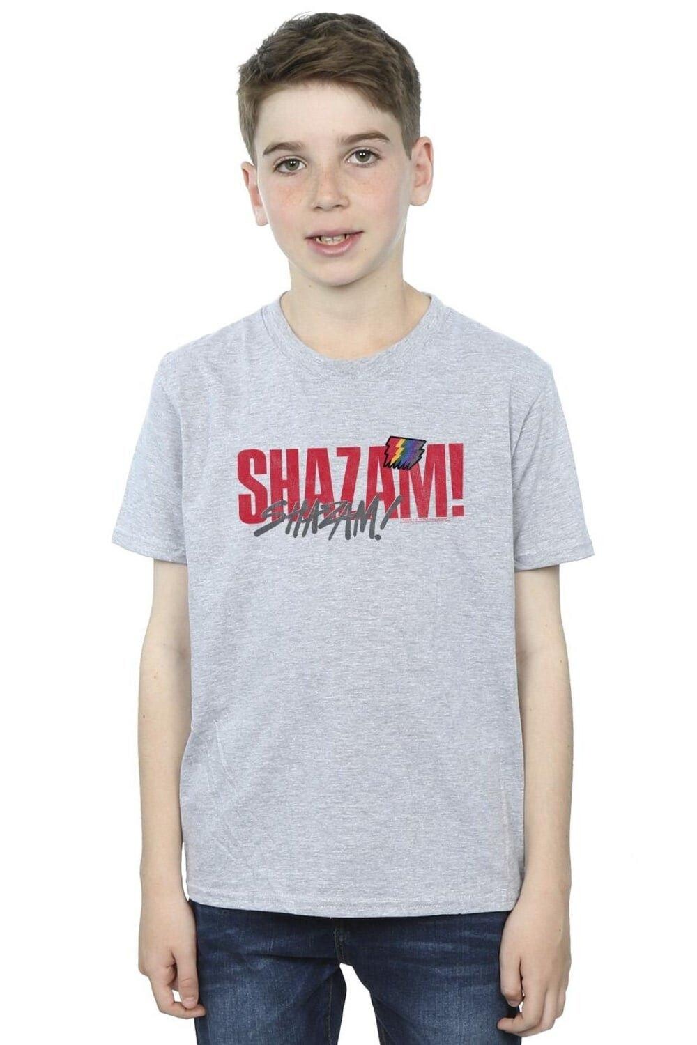 

Футболка Shazam Fury Of The Gods Pride Distress DC Comics, серый
