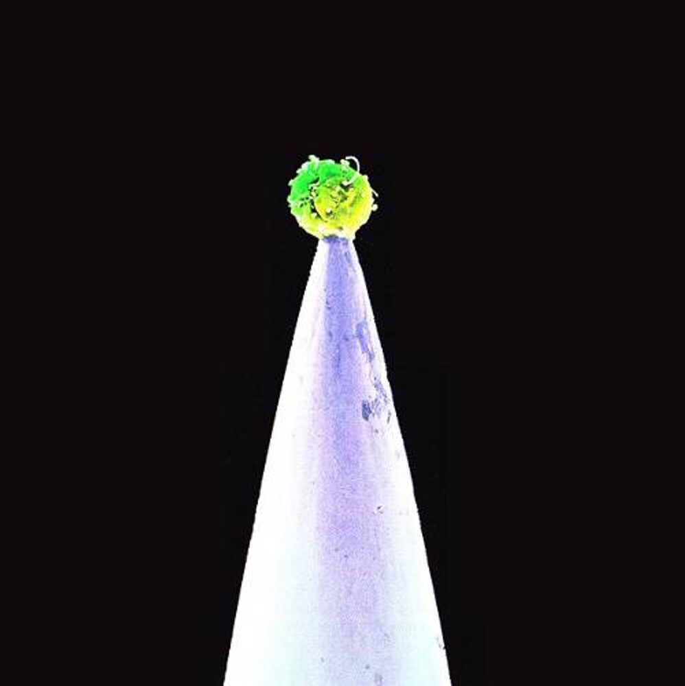 

Диск CD New Blood [Special Edition] - Peter Gabriel