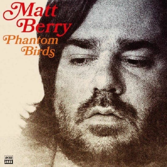 

Виниловая пластинка Berry Matt - Phantom Birds