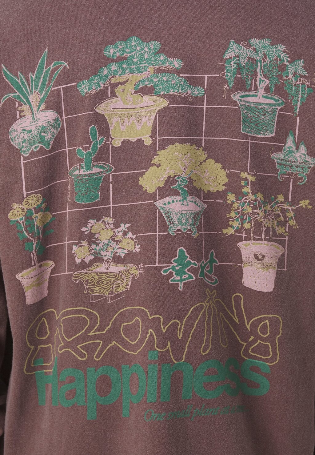 

Принт на футболке GROWN HAPPINESS TEE UNISEX BDG Urban Outfitters, коричневый