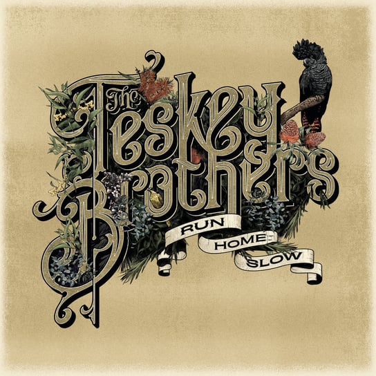 Виниловая пластинка The Teskey Brothers - Run Home Slow виниловая пластинка the teskey brothers – the winding way lp
