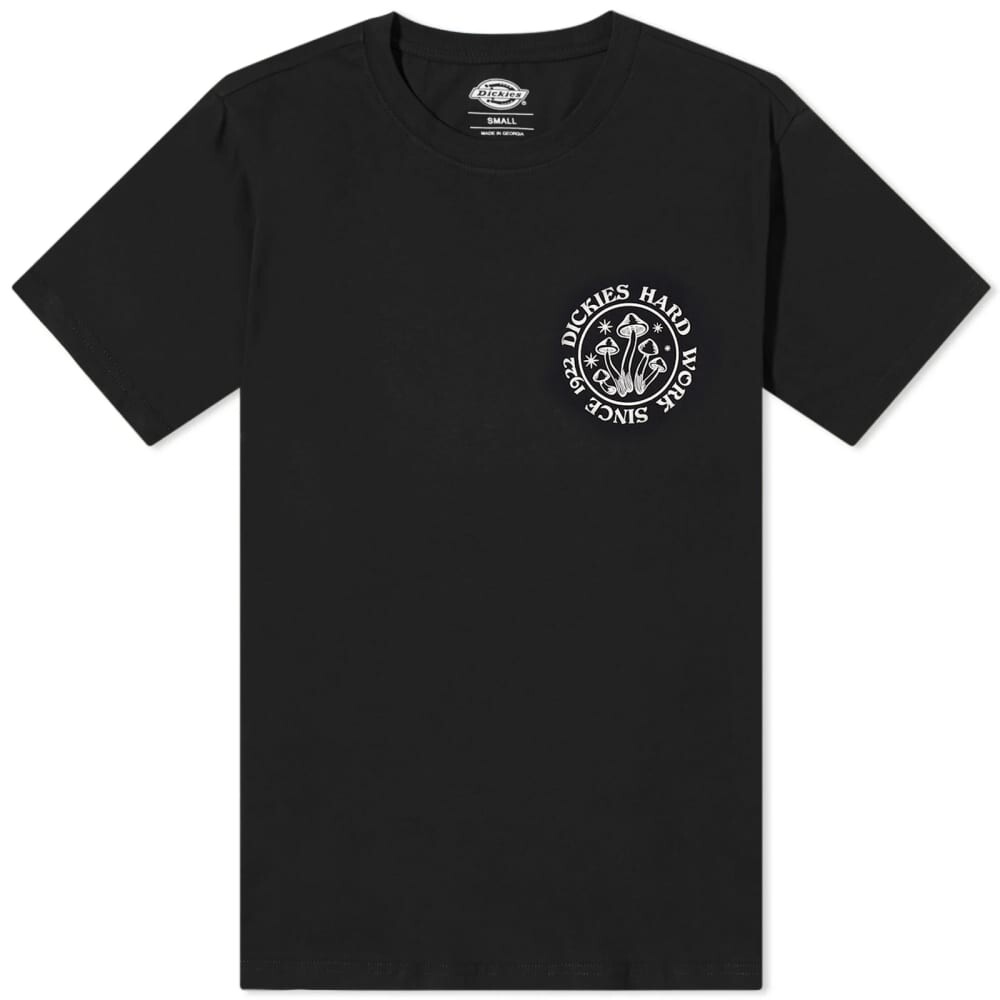 

Футболка Dickies Bayside Gardens, черный