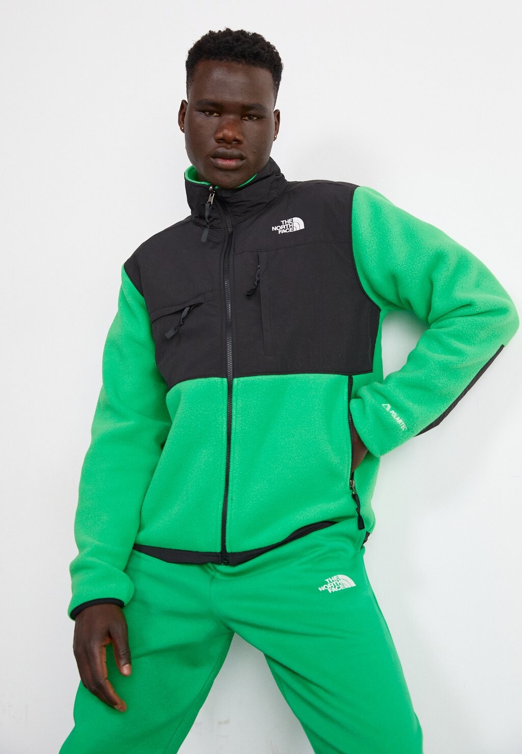 

Флисовая куртка Denali Jacket The North Face, цвет optic emerald