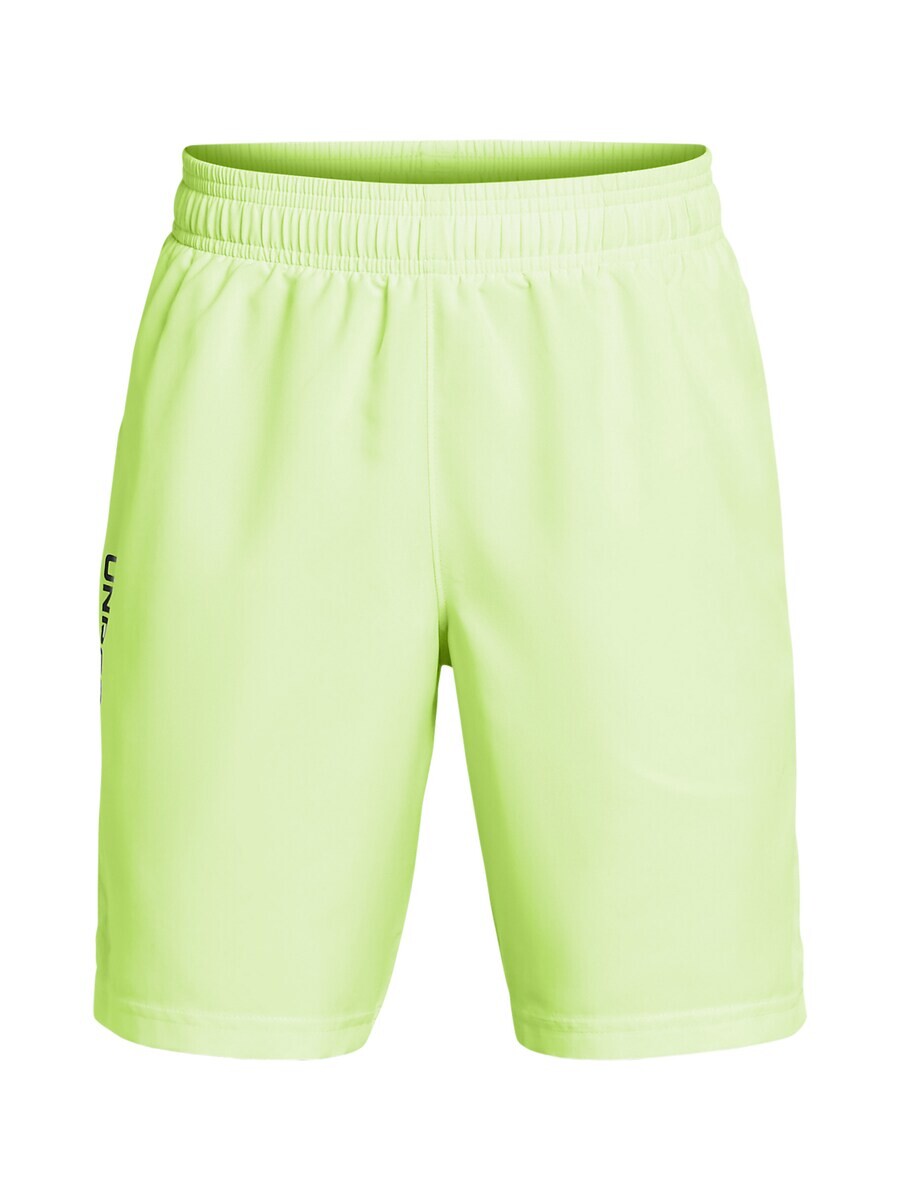 

Спортивные брюки UNDER ARMOUR Regular Workout Pants, зеленый