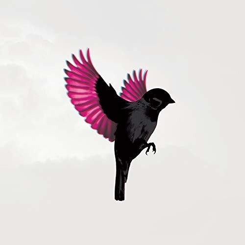 

CD диск Jump Little Children: Sparrow