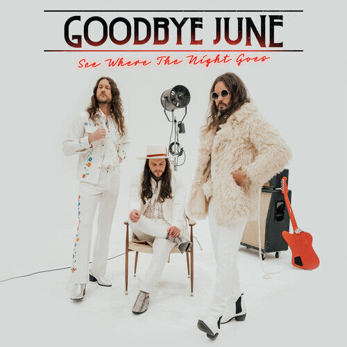 

Виниловая пластинка Goodbye June: See Where The Night Goes