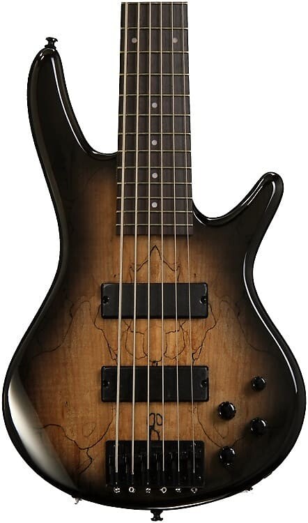 

Бас-гитара Ibanez Gio GSR206SMNGT - Spalted Maple Top Natural Grey Burst