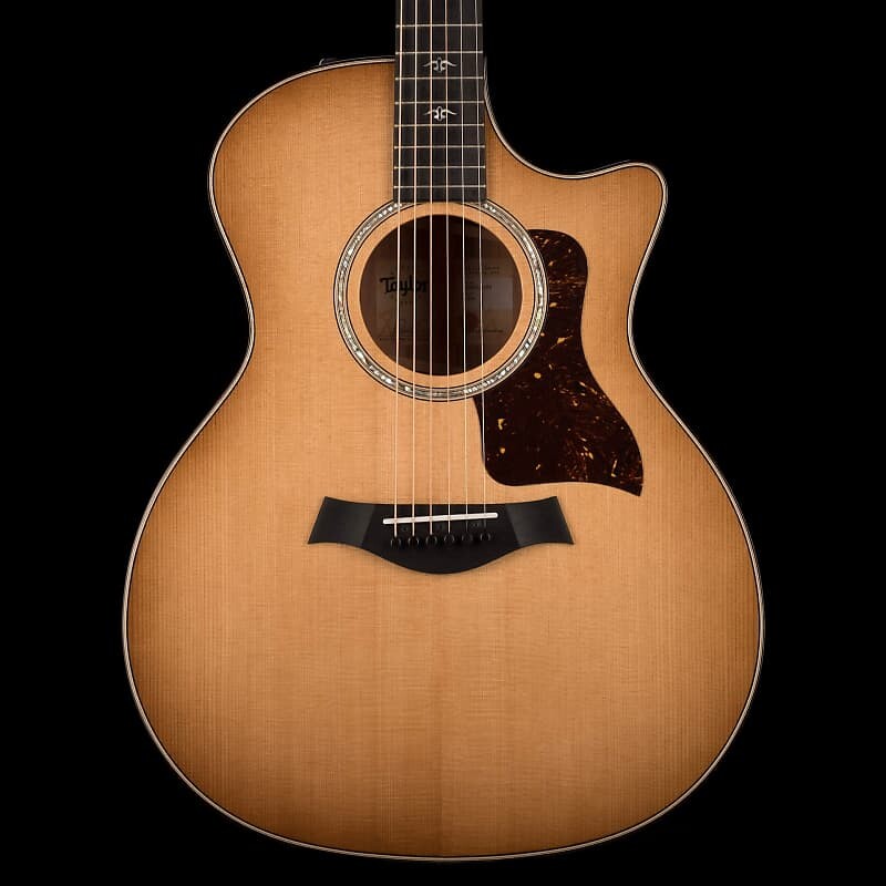 

Акустическая электрогитара Taylor Urban Ironbark 514ce с футляром