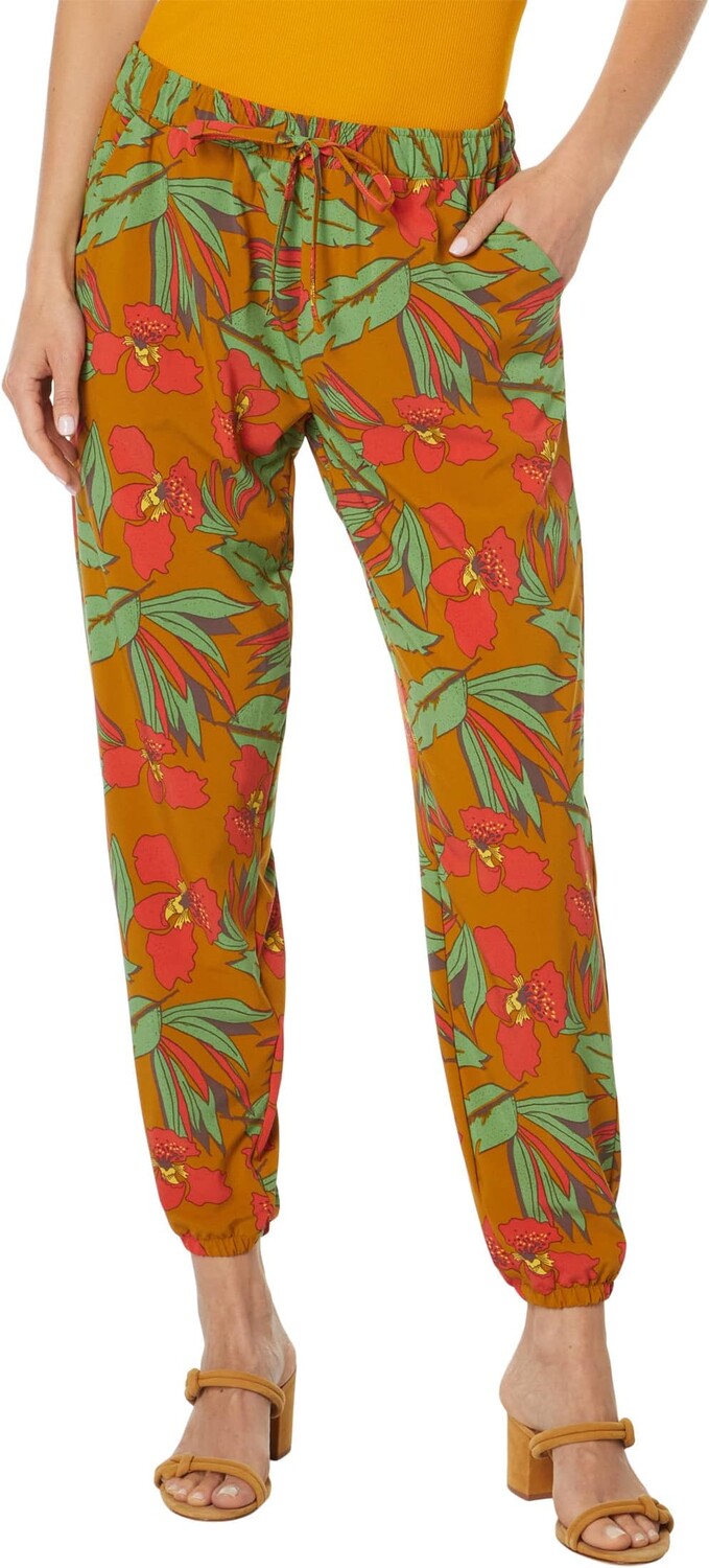 

Загорелые джоггеры Toad&Co, цвет Kelp Aloha Print