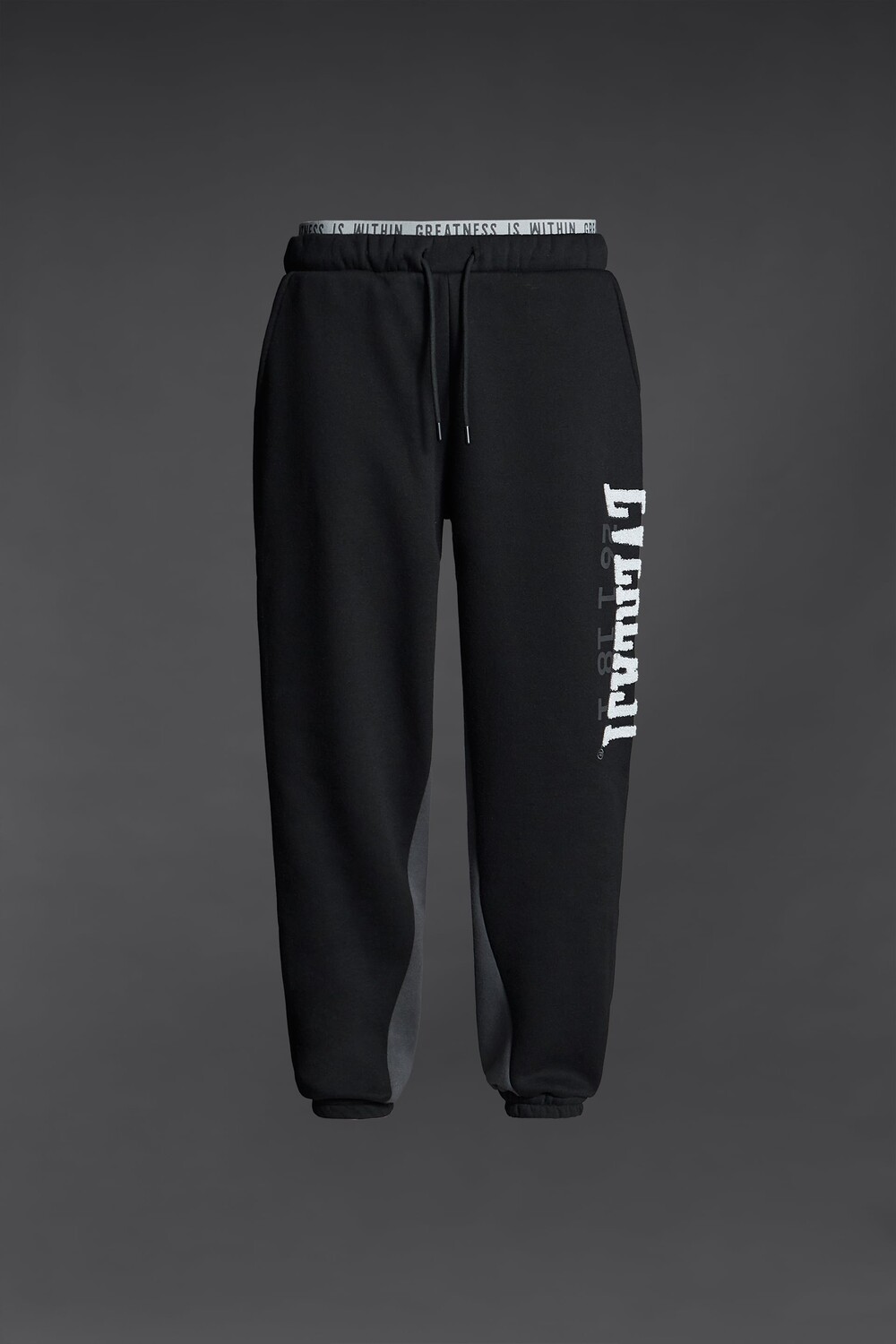 

Джоггеры Zara Athleticz Everlast Colour Block, черный