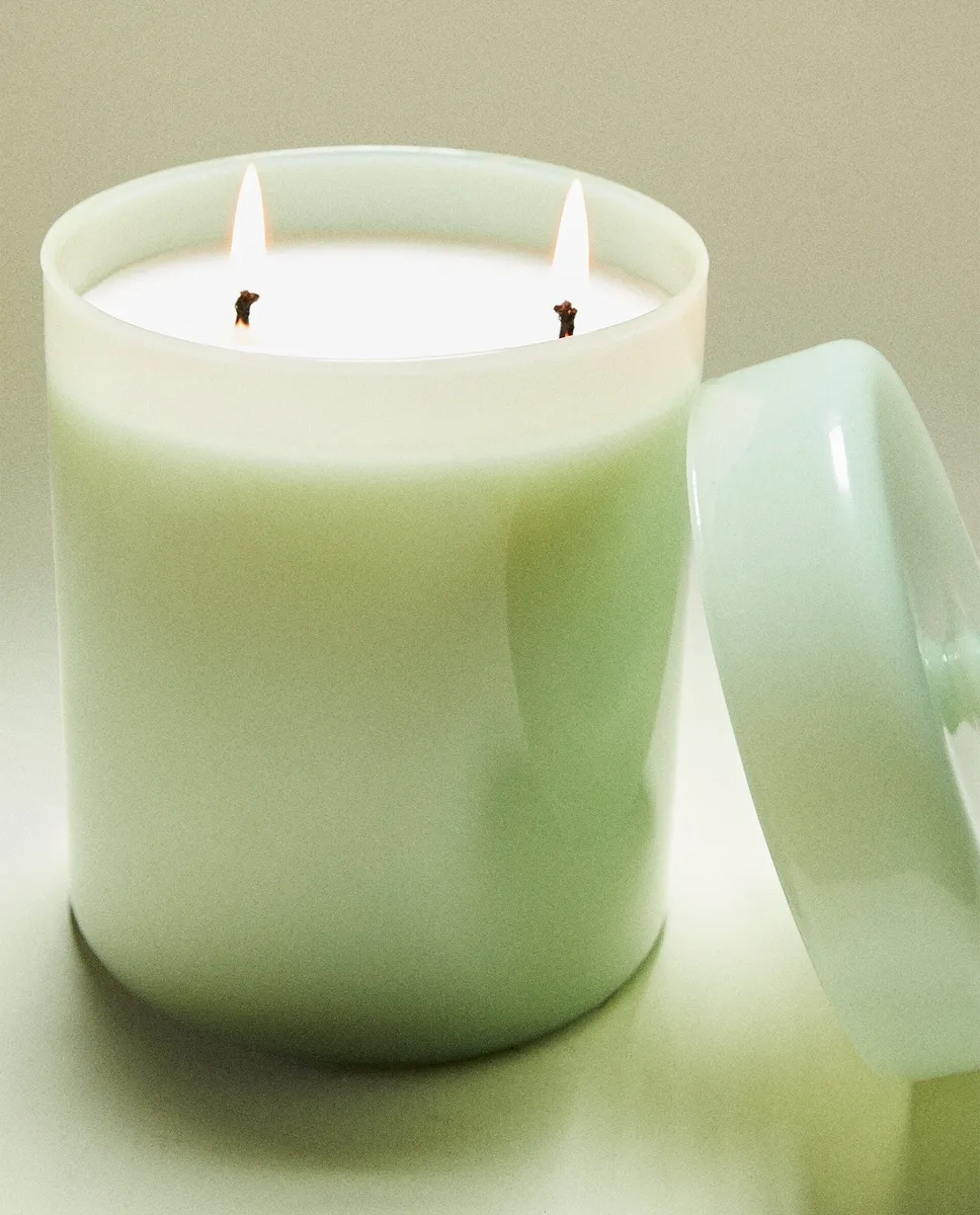 

(680 г) ароматическая свеча Figue Verdant Zara Home, цвет 4-555