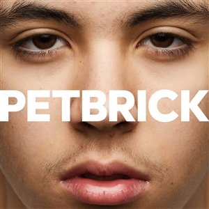 Виниловая пластинка Petbrick - I