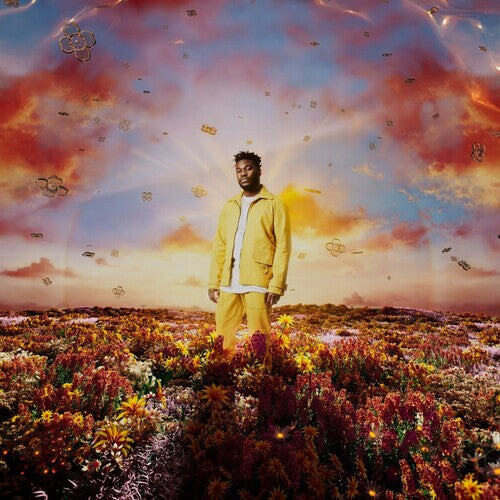 

Виниловая пластинка Amadi, Nonso: When It Blooms