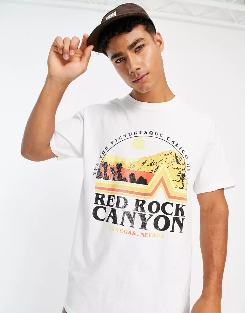 

Белая футболка классического кроя River Island с принтом Red Rock Canyon