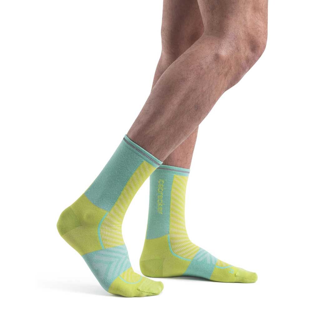 

Носки Icebreaker Merino Run+ Ultralight Crew, Разноцветный