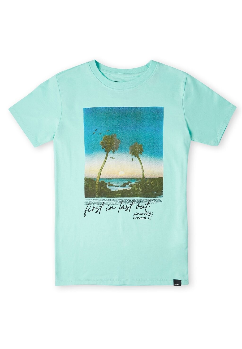 

Футболка с принтом TEES LOREN O'Neill, цвет beach glass