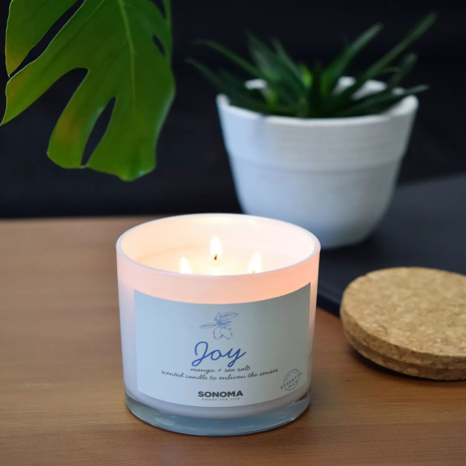 

Банка для свечи Sonoma Goods For Life Spa Joy с 3 фитилями