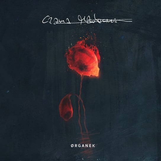 Виниловая пластинка Organek - Czarna Madonna (Limited Edition Transparent Orange)