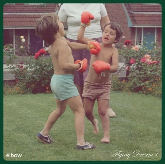 

Виниловая пластинка Elbow - Flying Dream 1