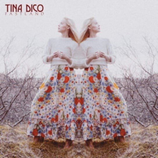 

Виниловая пластинка Dico Tina - Fastland