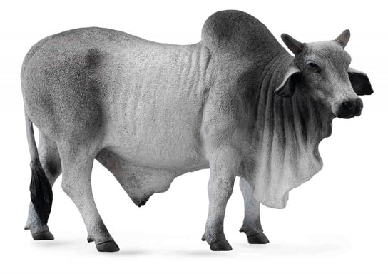 Collecta, Коллекционная фигурка, Бык-Брахман фигурка collecta герефордский бык 88234 7 5 см